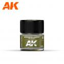 AK Interactive RC028 AK Real Colors Interior Green FS 34151