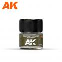 AK Interactive RC073 AK Real Colors Protective 4BO