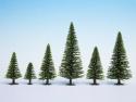 Noch 26926 Spruce Trees x 5