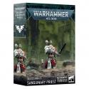 Warhammer 40K 41-48 Blood Angels - Sanguinary Priest