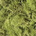 Woodland Scenics L162 Lichen - Light Green