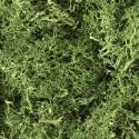 Woodland Scenics L163 Lichen - Medium Green