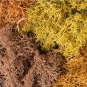 Woodland Scenics L165 Lichen - Autumn Mix