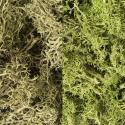 Woodland Scenics L167 Lichen - Light Green Mix