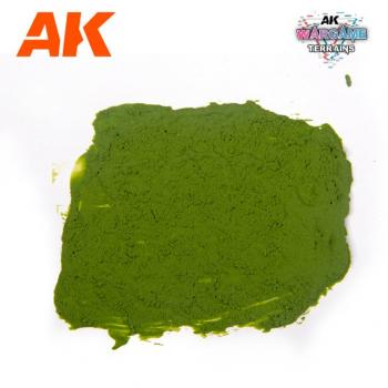 AK Interactive AK1217 Plague Ground 100ml