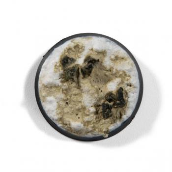 AK Interactive AK14006 Liquid Pigment - Concrete