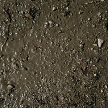 AK Interactive AK8016 Terrains Wet Ground 250ml