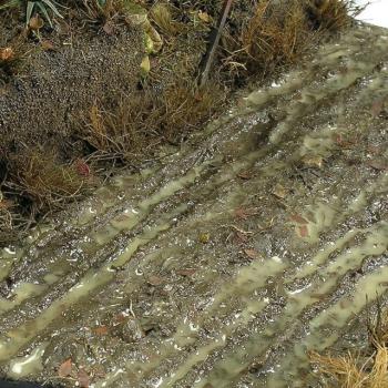 AK Interactive AK8016 Terrains Wet Ground 250ml