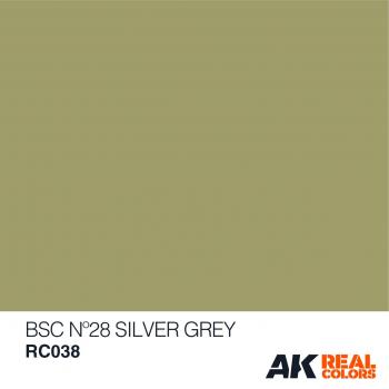 AK Interactive RC038 AK Real Colors BSC No 28 Silver Grey