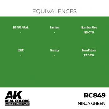 AK Interactive RC849 Real Colors - Ninja Green