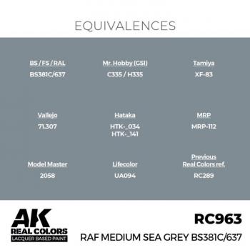 AK Interactive RC963 Real Colors - RAF Medium Sea Grey