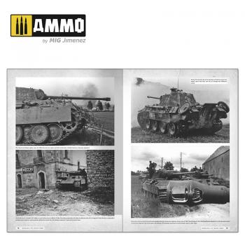 AMMO by Mig AMIG6270 Panthers - Modelling the TAKOM Family