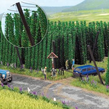 Busch 1215 Hops Field