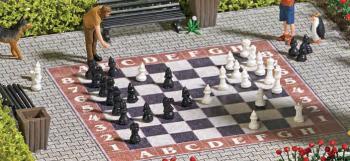 Busch 7839 Garden Chess