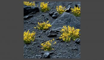 Gamers Grass GGF-YE Yellow Flowers 6mm