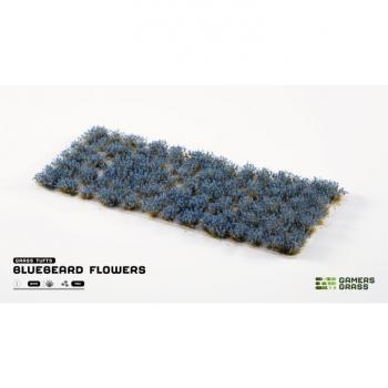 Gamers Grass GGFS-BLU Bluebeard Flowers