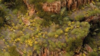 Gamers Grass GGFS-DAN Dandelion Tiny Flowers