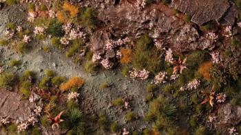 Gamers Grass GGFS-PO Pink Orchid Tiny Flowers