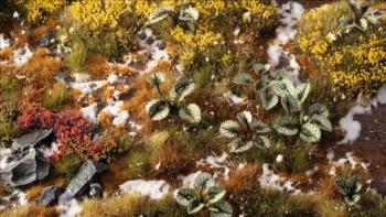 Gamers Grass GGLP-BL Bugloss