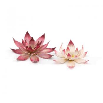 Gamers Grass GGLP-LF Lotus Flower