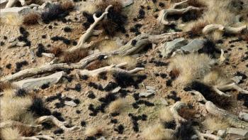 Gamers Grass GGTT-BL Tiny Black Tufts 1mm