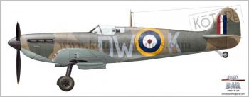 Kotare K32001 Spitfire Mk.Ia - Mid