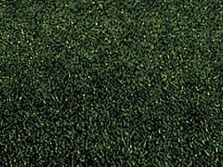 Noch 00230 Grass Mat Dark Green