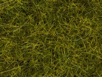 Noch 00402 Grass Mat Meadow