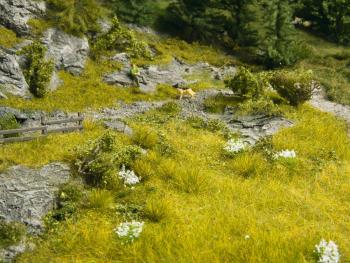 Noch 07470 Lush Meadow