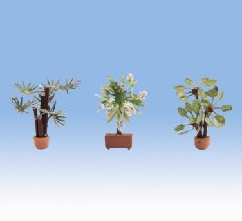 Noch 14023 Mediterranean Plants