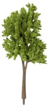 Noch 24210 Trees Spring x 10