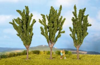 Noch 25140 Poplars x 3