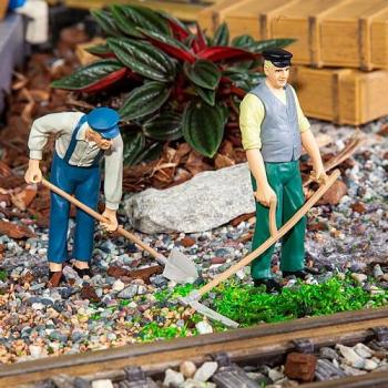 Pola G 331507 Farmers x 2