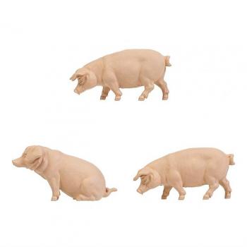 Pola G 331895 Pigs x 3