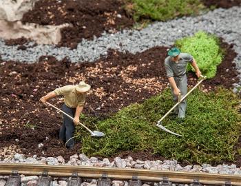 Pola G 331907 Farmers x 2