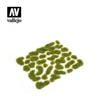 Vallejo SC404 Wild Moss