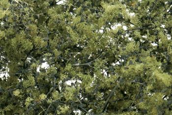 Woodland Scenics F1133 Fine-Leaf Foliage Olive Green