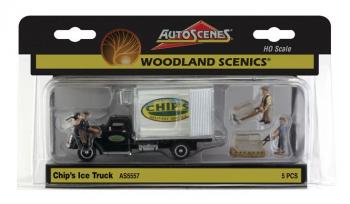 Woodland Scenics AS5557 Chip
