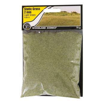 Woodland Scenics FS615 Static Grass Light Green 2mm